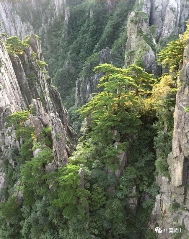 女性晚婚好还是早婚好呢游戏画面